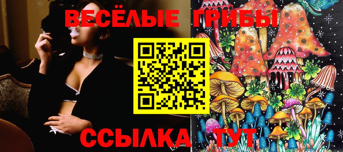 Галлюциногенные грибы мицелий Балашов