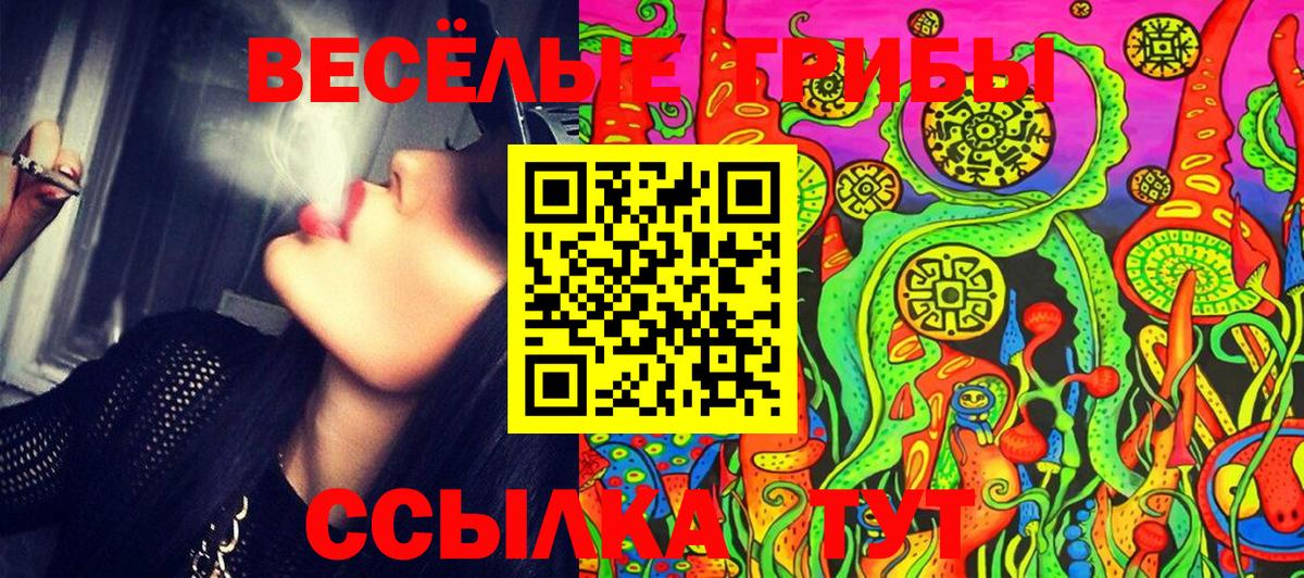 Галлюциногенные грибы Magic Shrooms  Вход с VPN  Балашов  Галлюциногенные грибы ЛСД 